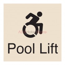 Large Pool Lift (Dynamic ISA - NY & CT Compliant)